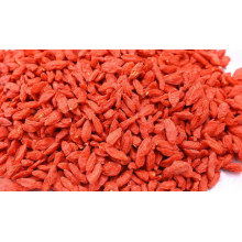 Goji Berries with High Quality